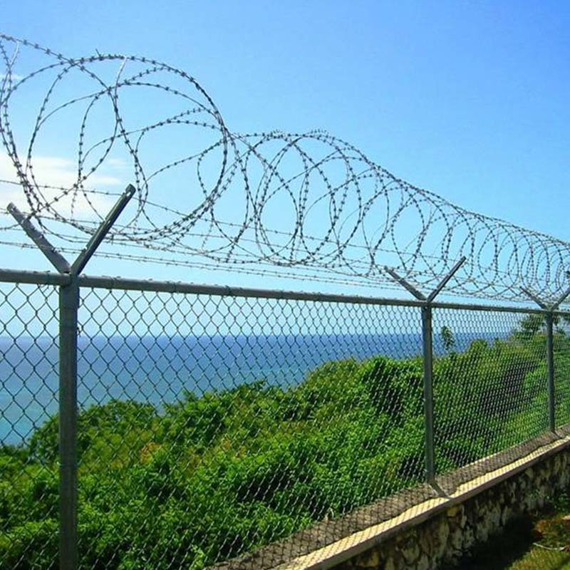 Double concertina razor wire