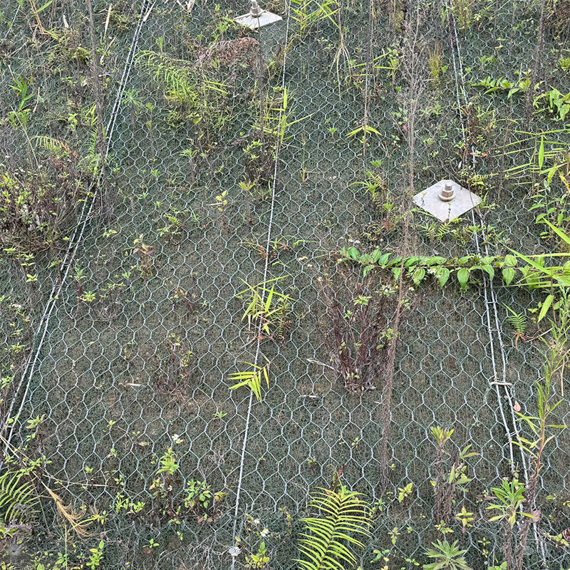 Active Protective Net-Steel Wire Rope Gabion Net