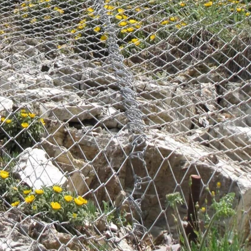 Active Protective Net-Teknet